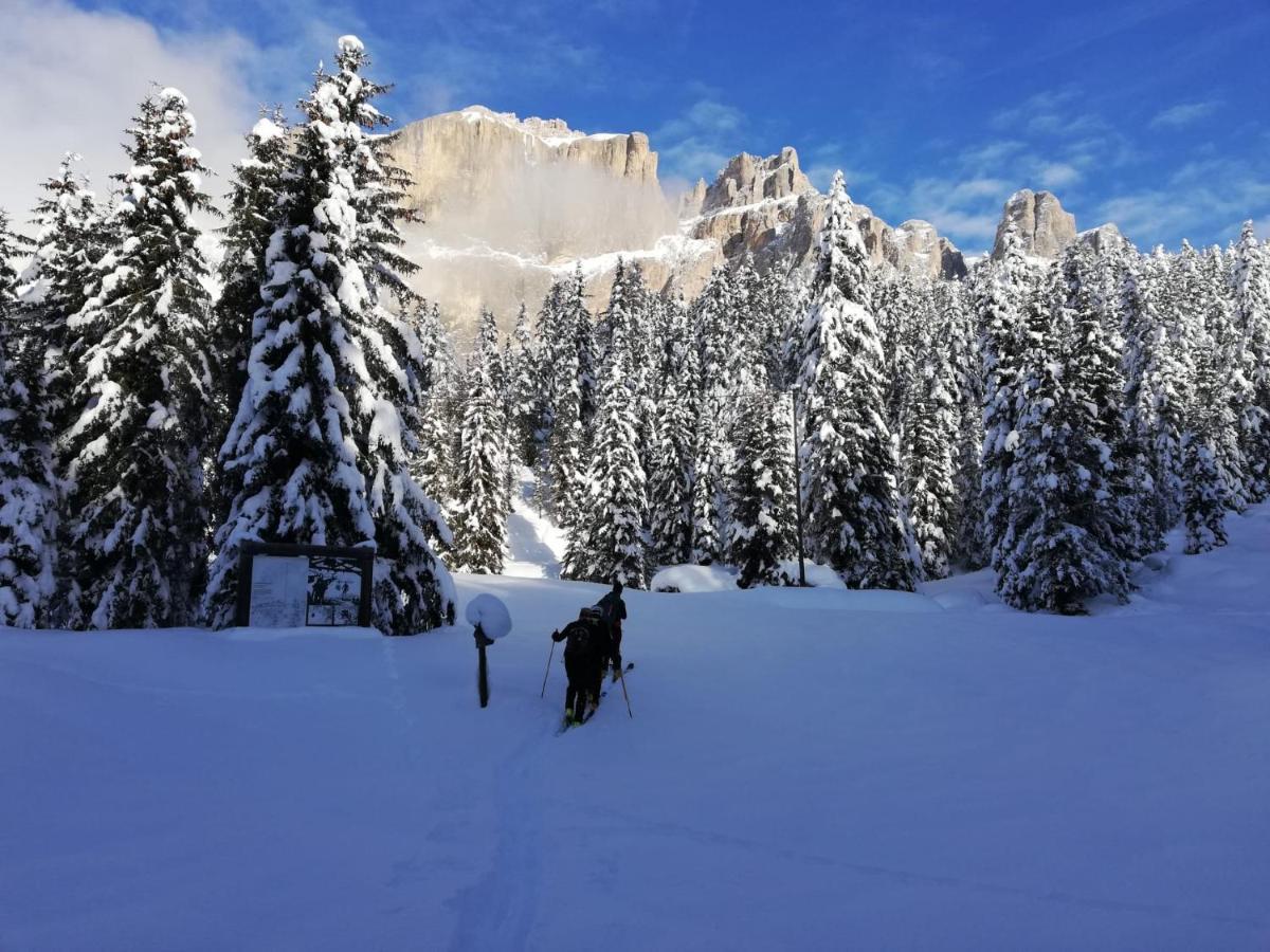 Appartamenti Chalet Orchidea Canazei Luaran gambar