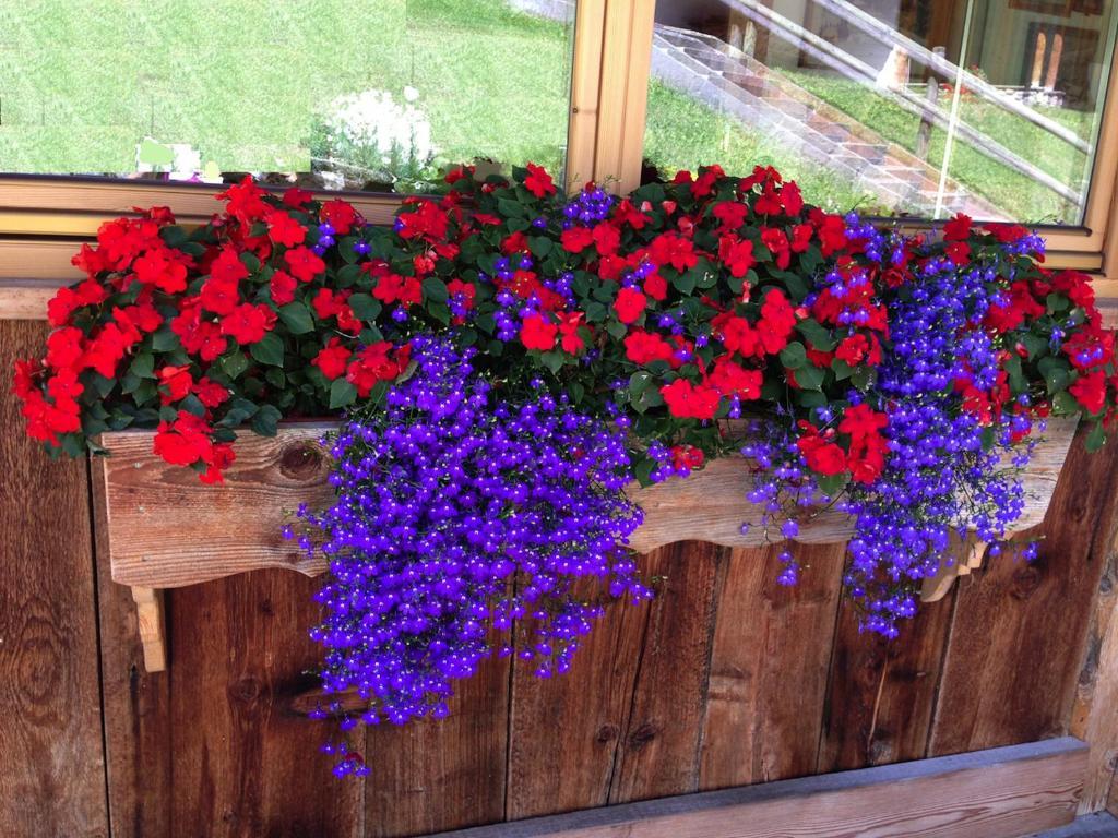 Appartamenti Chalet Orchidea Canazei Luaran gambar